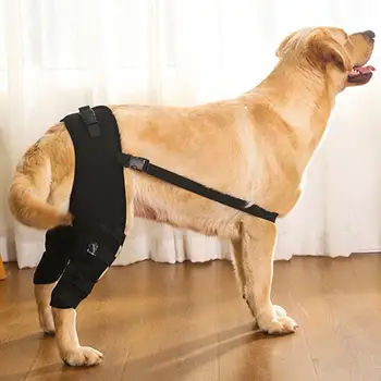 Мека текстура, оборудване за домашни любимци за подкрепа на пеша, в помощ на стареене на домашни любимци, Регулируеми тиранти за краката на домашни любимци, меки за кучета с увреждания