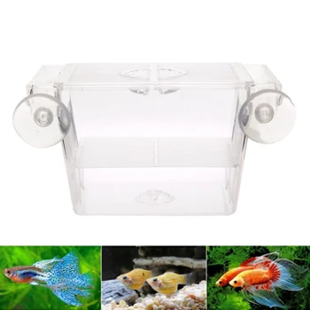 Прозрачна Акрилна Изолиращ Кутия за отглеждане на риби, Аквариумный Инкубатор, Титуляр на Инкубатора, Аксесоари За Аквариум, за да проверите за риба